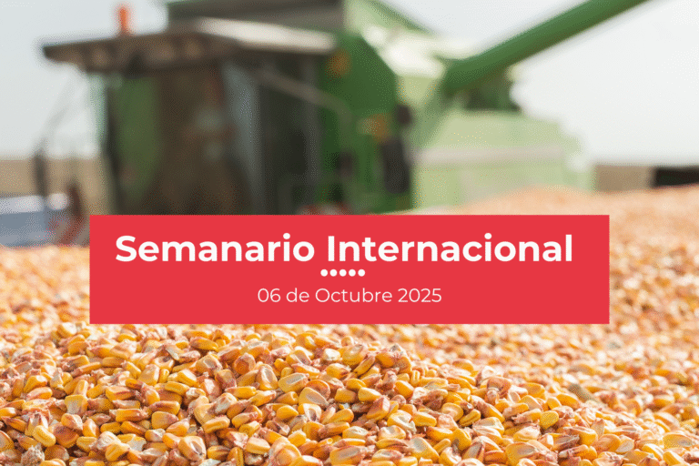 Semanario de inteligencia internacional, 06 de octubre de 2025